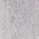 Silver1.webp