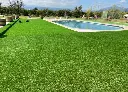 P020301-0000-03.webp