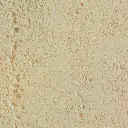 P070300-000013_2.webp