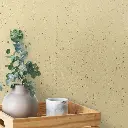 P070300-000013_3.webp