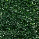 Sky-garden-5.webp