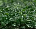 Sky-garden-4.webp