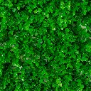 Skygarden-10.webp