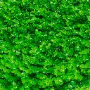 Skygarden-11.webp