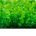 Skygarden-12.webp