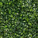 Skygarden-7.webp