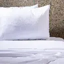 R051112-000006-4.webp