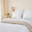 R166200-000008_6.webp