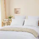 R166200-000044_6.webp