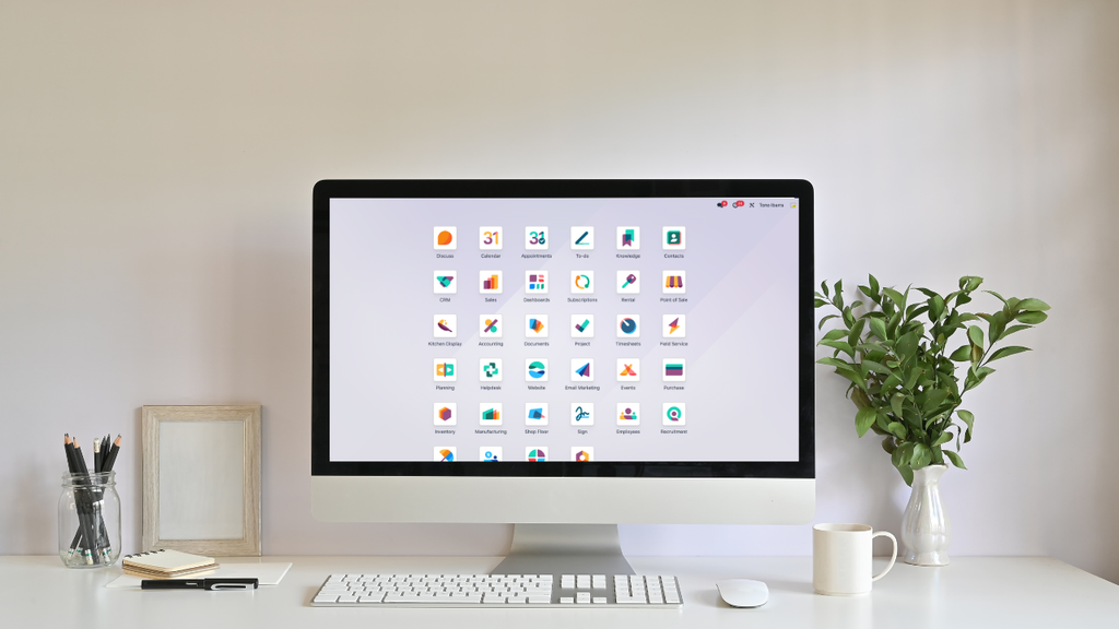 Consultoría en Odoo