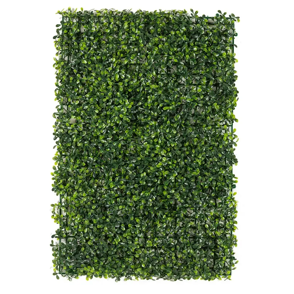 Sky Garden 40x60 Greenup