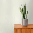 Rustic Stoneflex Blanco 120 x 60 cm. - Caja 16 unidades