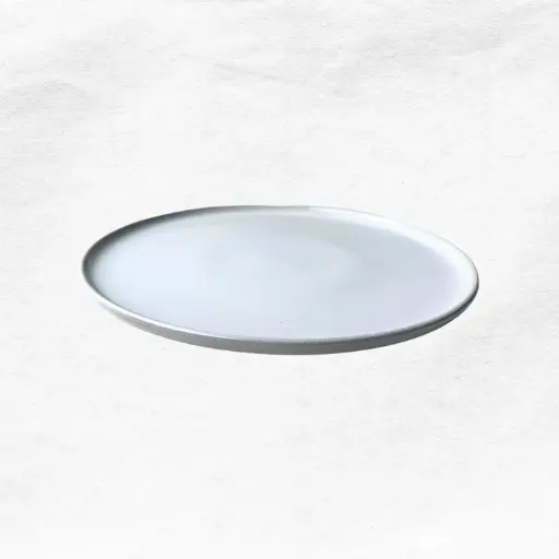 [150092] Plato de Fondo Antártica