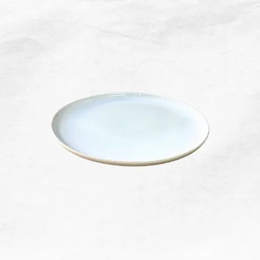 [150093] Plato de Pan Antártica