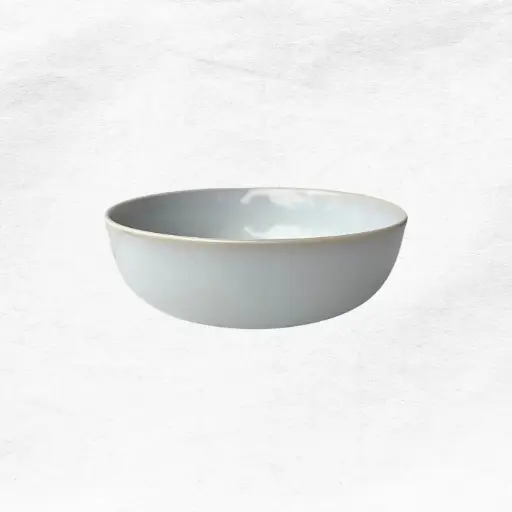 [150095] Plato Hondo Antártica