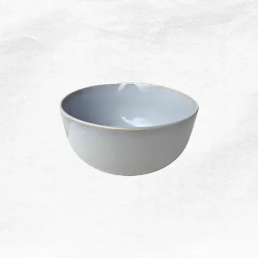 [150094] Bowl Antártica